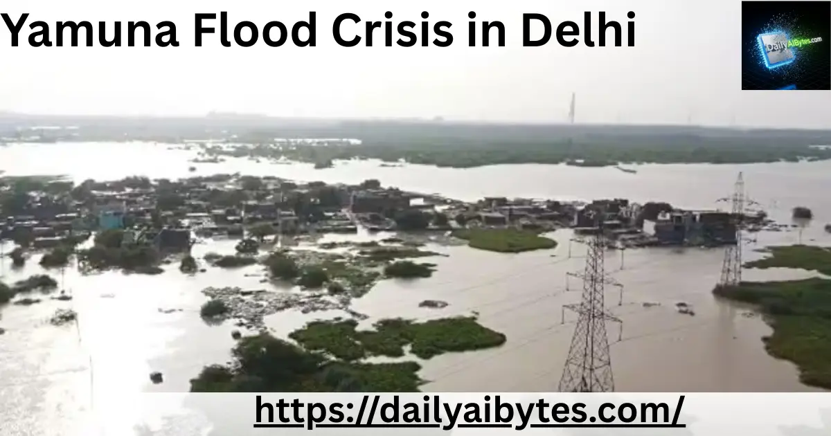Yamuna Flood